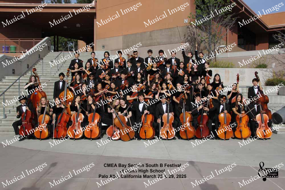 Musical Images